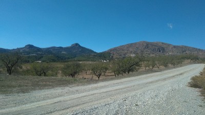 CORTIJO DEL MADROÑO: ZONA CATASTRÓFICA.