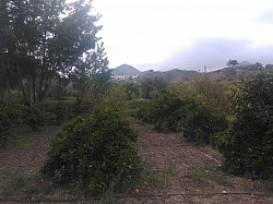 La cañada del Molinillo.